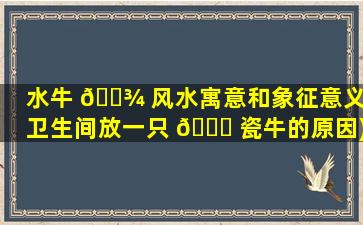水牛 🌾 风水寓意和象征意义(卫生间放一只 🐕 瓷牛的原因)